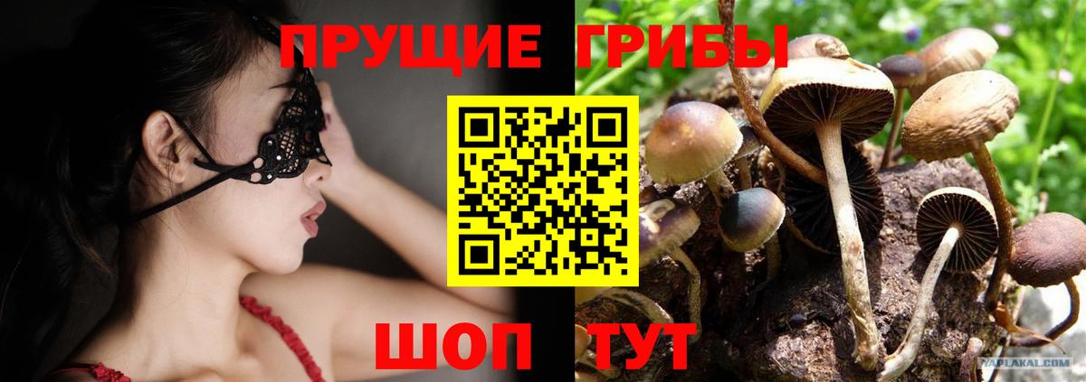 Галлюциногенные грибы ЛСД  Вход с VPN  Белогорск 